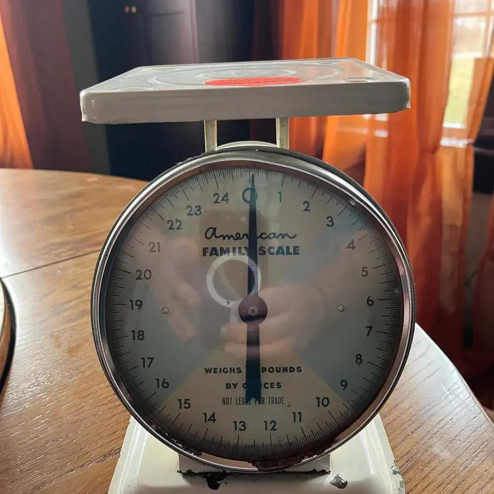 Vintage American Family Kitchen Scale 25 Lbs